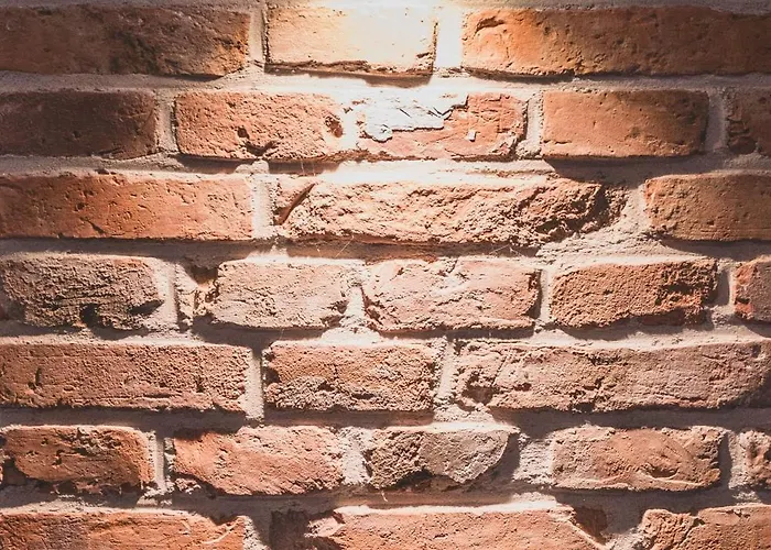 Senden 1 Zwaantje * Krummhörn